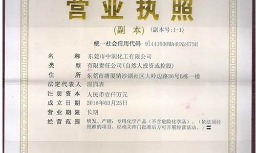 广东电脑学院,广东电脑系统企业有哪些