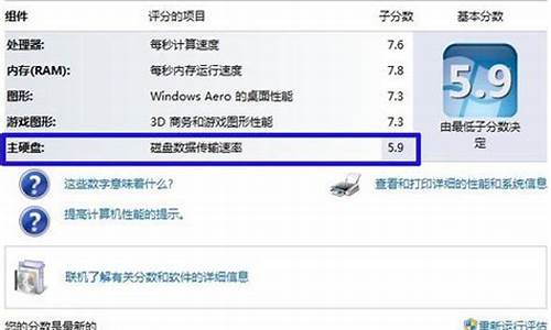 电脑系统评分硬盘评分最低_硬盘评分5.9