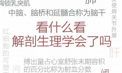 医学生电脑软件-联想适合医学生的电脑系统